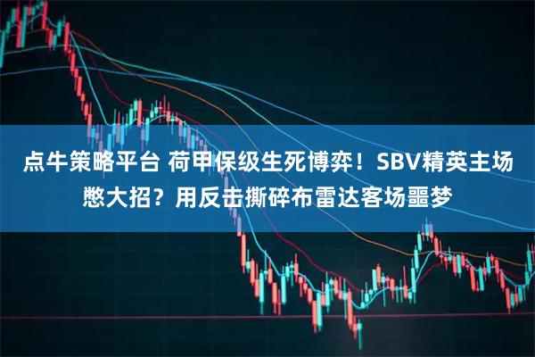 点牛策略平台 荷甲保级生死博弈！SBV精英主场憋大招？用反击撕碎布雷达客场噩梦