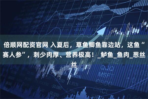 倍顺网配资官网 入夏后，草鱼鲫鱼靠边站，这鱼“赛人参”，刺少肉厚、营养极高！_鲈鱼_鱼肉_葱丝