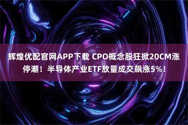 辉煌优配官网APP下载 CPO概念股狂掀20CM涨停潮!半导体产业ETF放量成交飙涨5%!