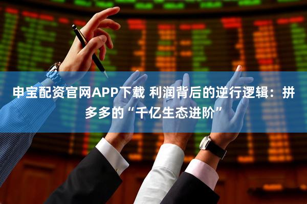 申宝配资官网APP下载 利润背后的逆行逻辑：拼多多的“千亿生态进阶”